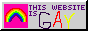 This Website Is Gay