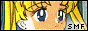 Sailor Moon Fever