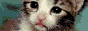 Top 100 Pet Sites